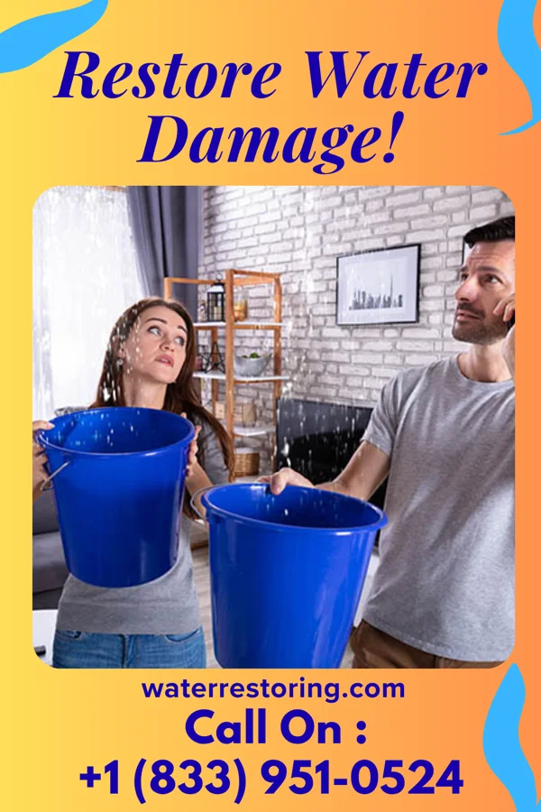 water restoration Prestige Water Damage Co Whalan