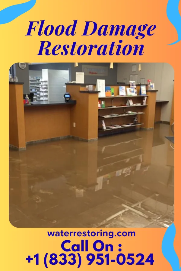 Flood Damage Restoration in Whalan, MN