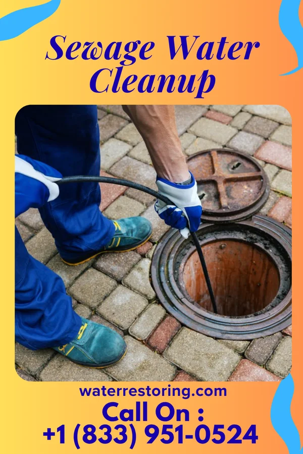 Sewage Water Cleanup in Whalan, MN
